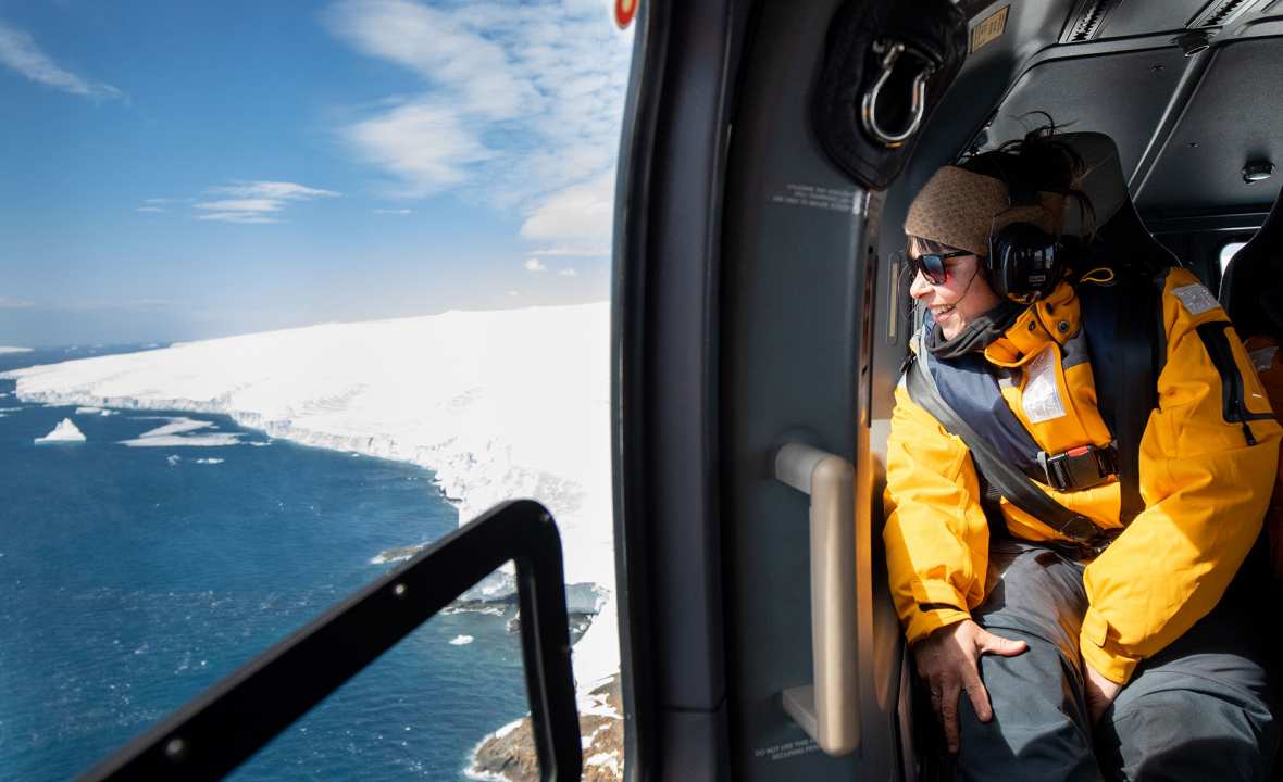 Quark Antarctica