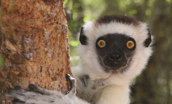 Madagascar-Africa-view-experience-scenery
