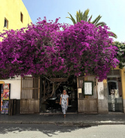 GlamAdelaide in Ibiza
