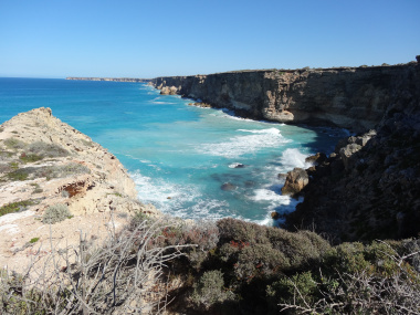whale-watching-south-australia